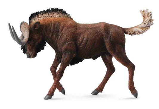 Black Wildebeest Collecta