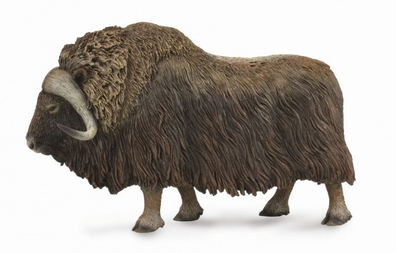 Buffalo - Collecta