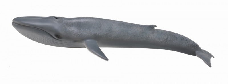 Ballena Azul - Collecta