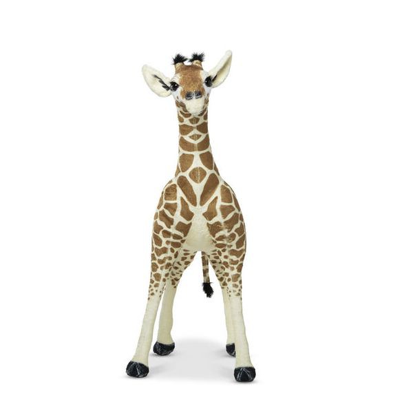 Extra riesiges Giraffenbaby