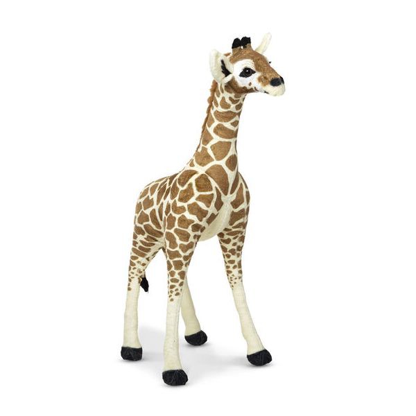 Extra riesiges Giraffenbaby