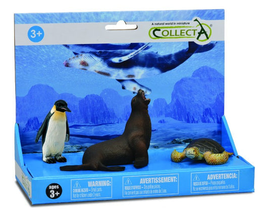 Set de 3 figurine pictate manual Foca, Pinguin si Testoasa