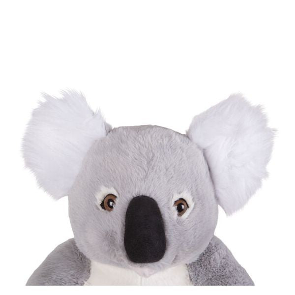 Koala gigant din plus