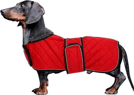 Wasserdichte Hundejacke mit Fleece, innen und verstellbaren Trägern, XS