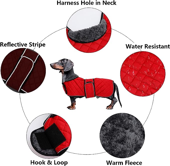 Wasserdichte Hundejacke mit Fleece, innen und verstellbaren Trägern, XS