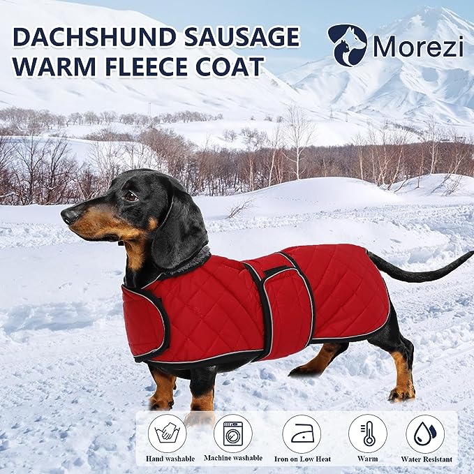 Wasserdichte Hundejacke mit Fleece, innen und verstellbaren Trägern, XS