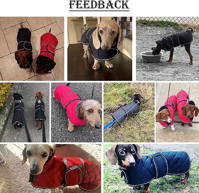 Wasserdichte Hundejacke mit Fleece, innen und verstellbaren Trägern, XS