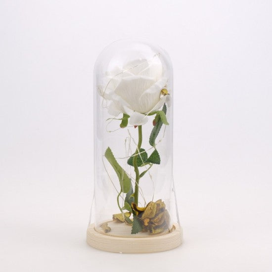 LED ROSE IN GLASS DOME A11554