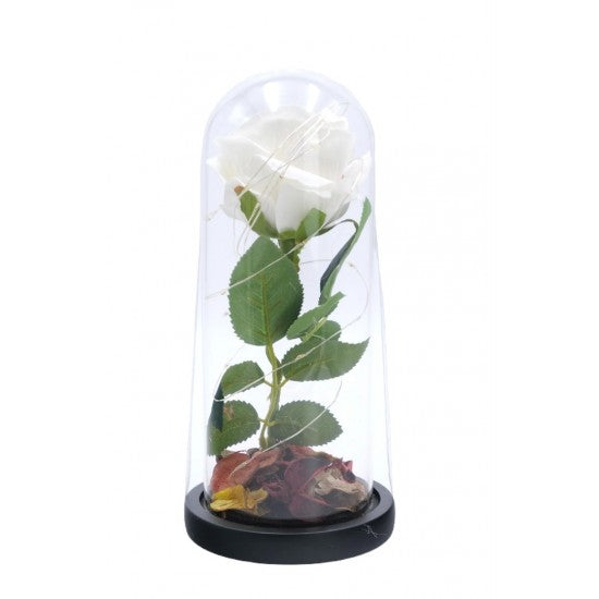 LED ROSE IN GLASS DOME A11554