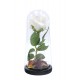 LED ROSE IN GLASS DOME A11554