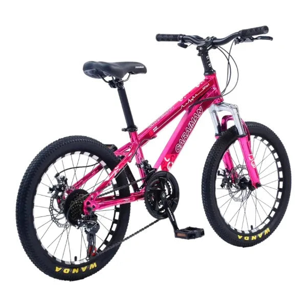 CARAIMAN Bicycle, 20CR, 20 inch, Steel Frame, Disc Brakes, Pink