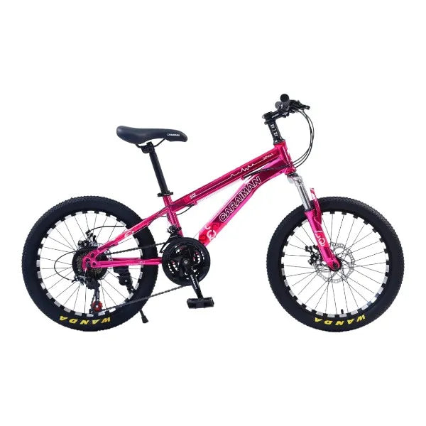 CARAIMAN Bicycle, 20CR, 20 inch, Steel Frame, Disc Brakes, Pink