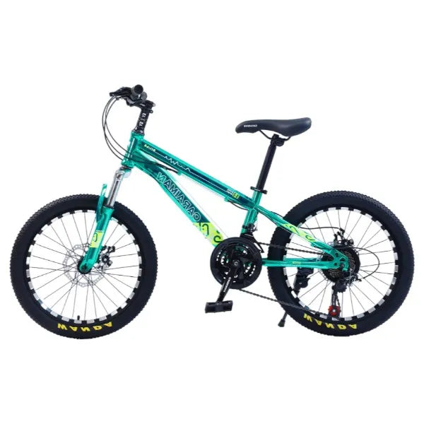 CARAIMAN Bicycle, 20CR, 20 inch, Steel Frame, Disc Brakes, Turquoise