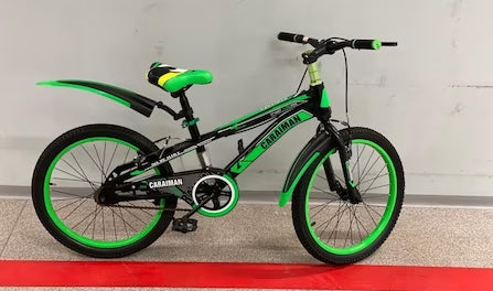 Bicicleta CARAIMAN 20J, Verde, Edad 6-10 años, con freno y gato