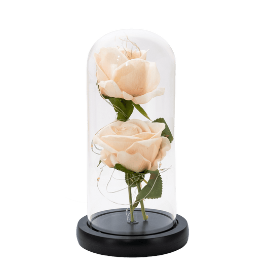 Due rose nella cupola 21 cm Crema