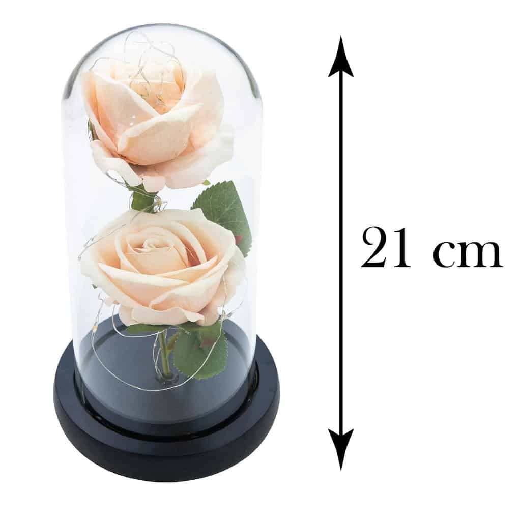 Due rose nella cupola 21 cm Crema