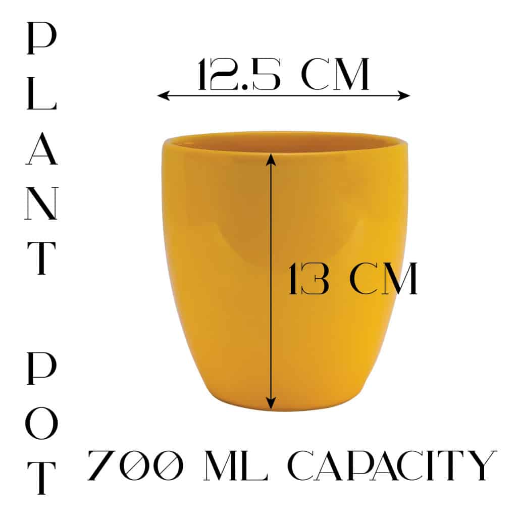 Vase, Round, 12.5x13 cm, Glossy Orange