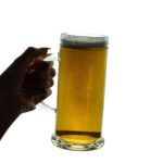 Set of 6 pints for beer, Pure, 500 ml, Crystal Clear