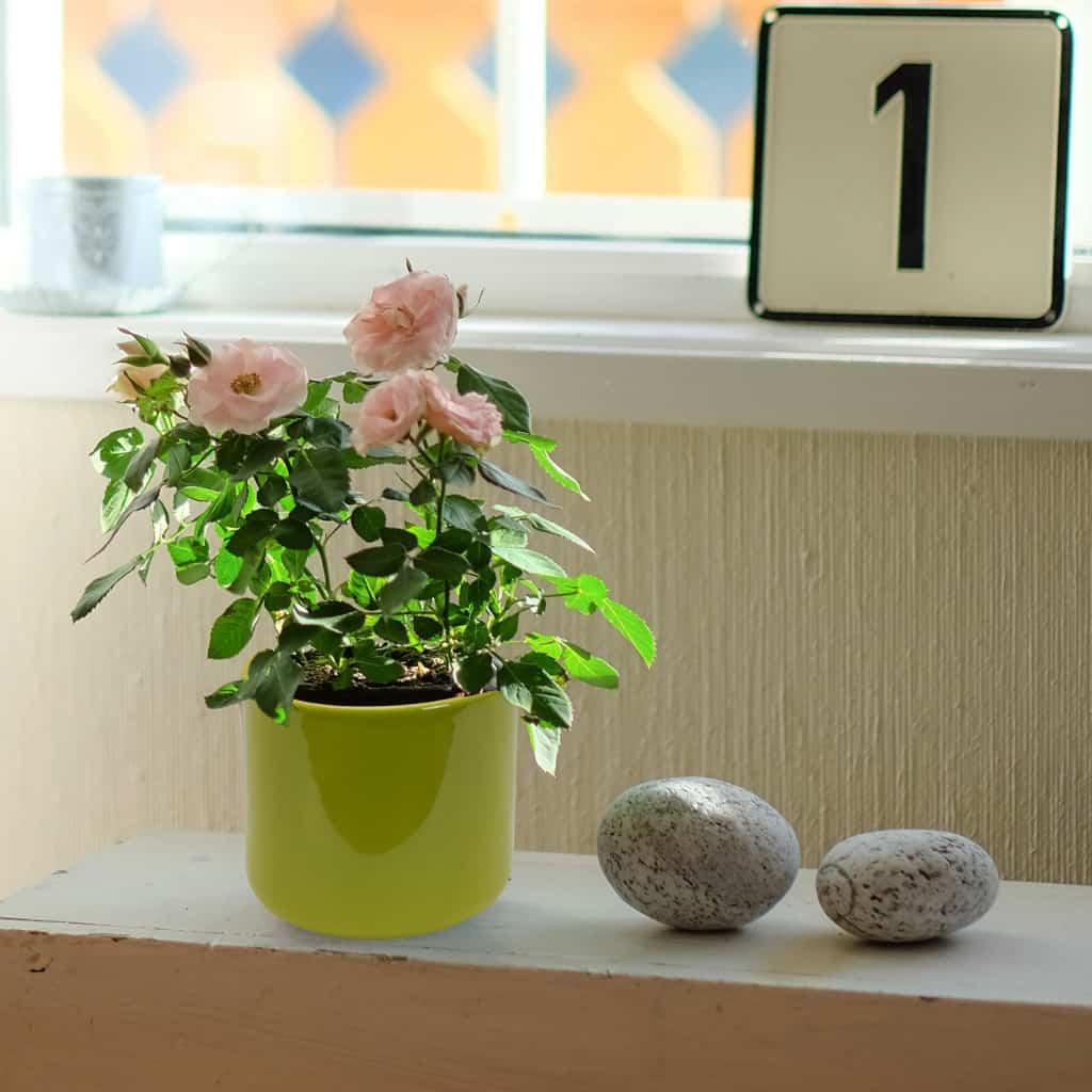 Flower pot, Round, 12x13 cm, Glossy Green