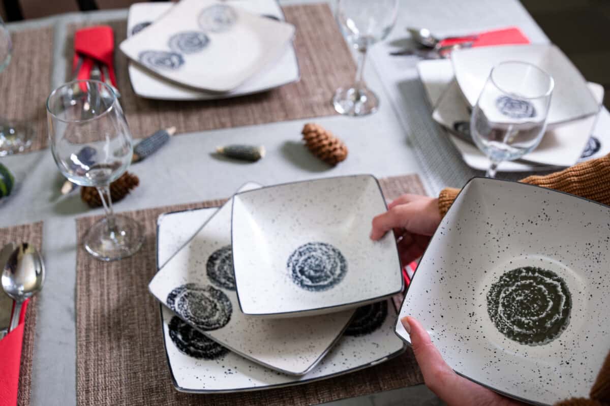 Dinner set for 6 people, Cesiro, Arctic White with roses and black dots