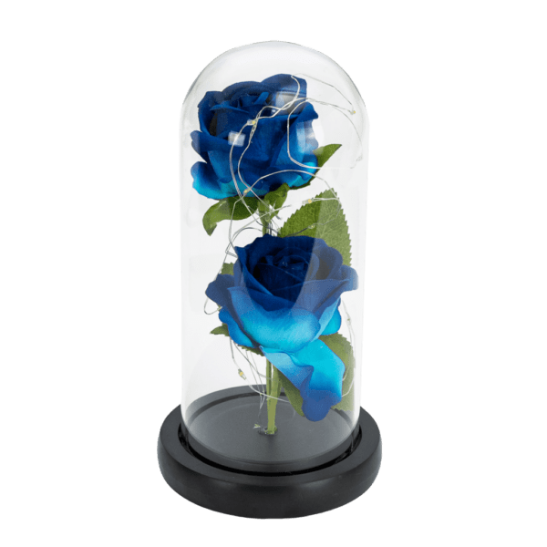 Rose in the dome, Cesiro, 21 cm, Blue