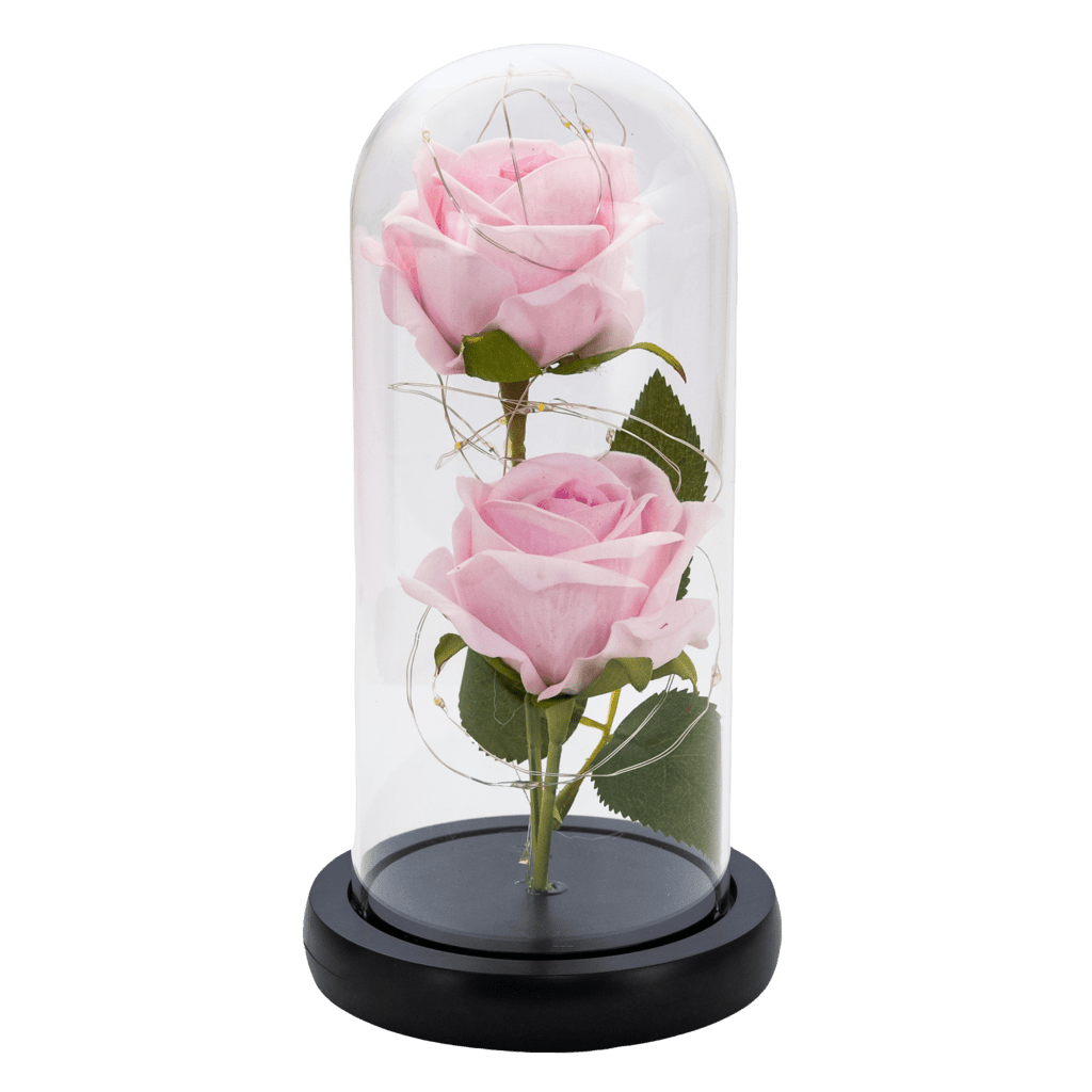 Two rose in the dome, Cesiro, 21 cm, Pink
