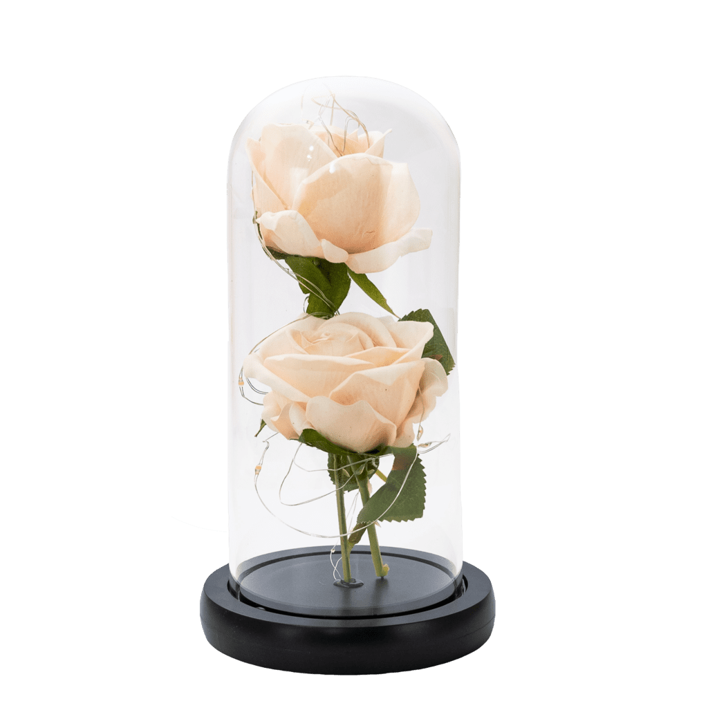 Two rose in the dome, Cesiro, 21 cm, Cream