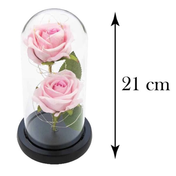 Two rose in the dome, Cesiro, 21 cm, Rózsaszín