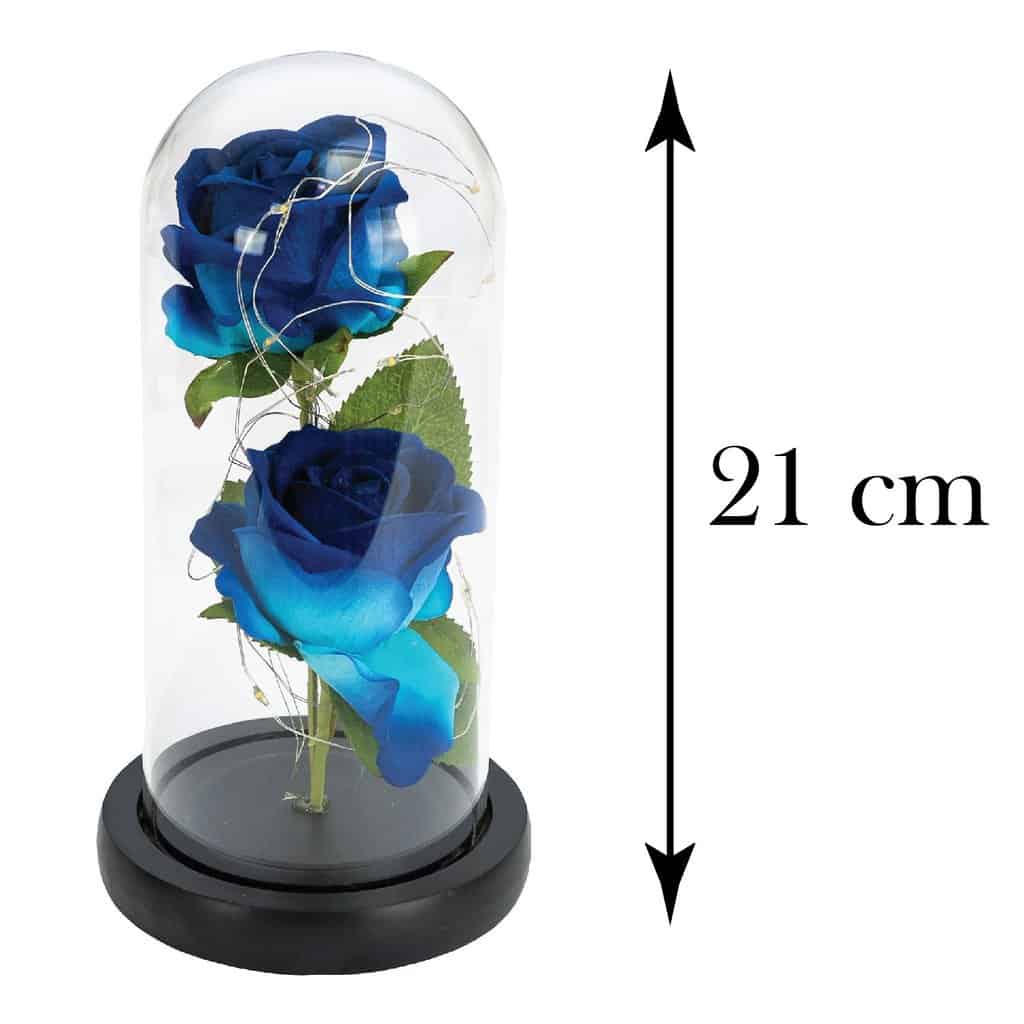 Rose in the dome, Cesiro, 21 cm, Blue