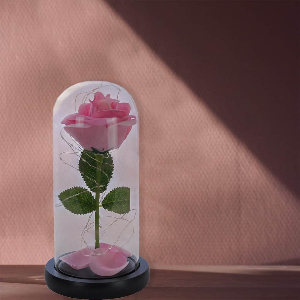 Rose in the dome, Cesiro, 21 cm, Rózsaszín